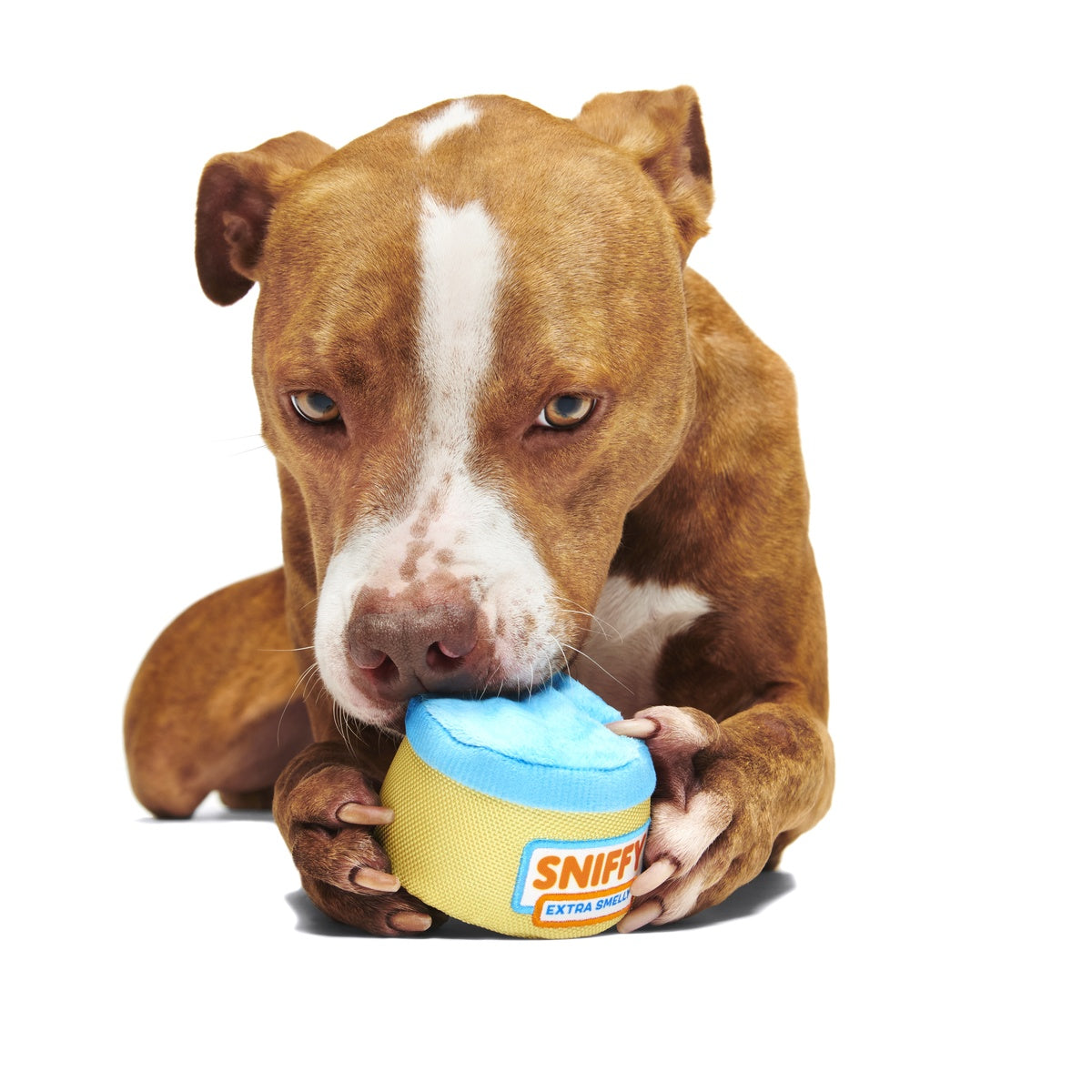 Sniffy Peanut Butter Super Chewer Durable 2-in-1 Enrichment Dog Toy - Image 6