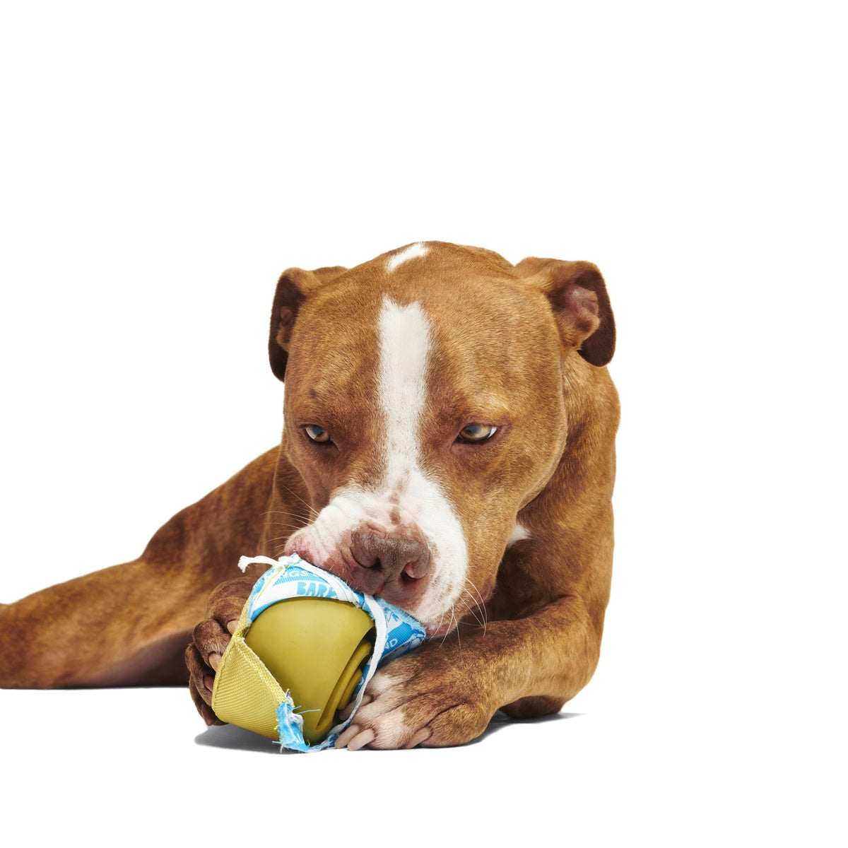 Sniffy Peanut Butter Super Chewer Durable 2-in-1 Enrichment Dog Toy - Image 2