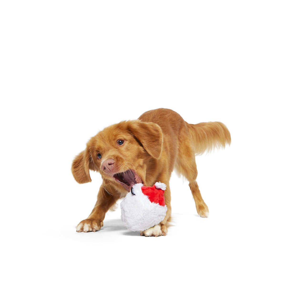 Secret Santa Durable Super Chewer 2-in-1 Rip and Reveal Dog Toy - Image 2