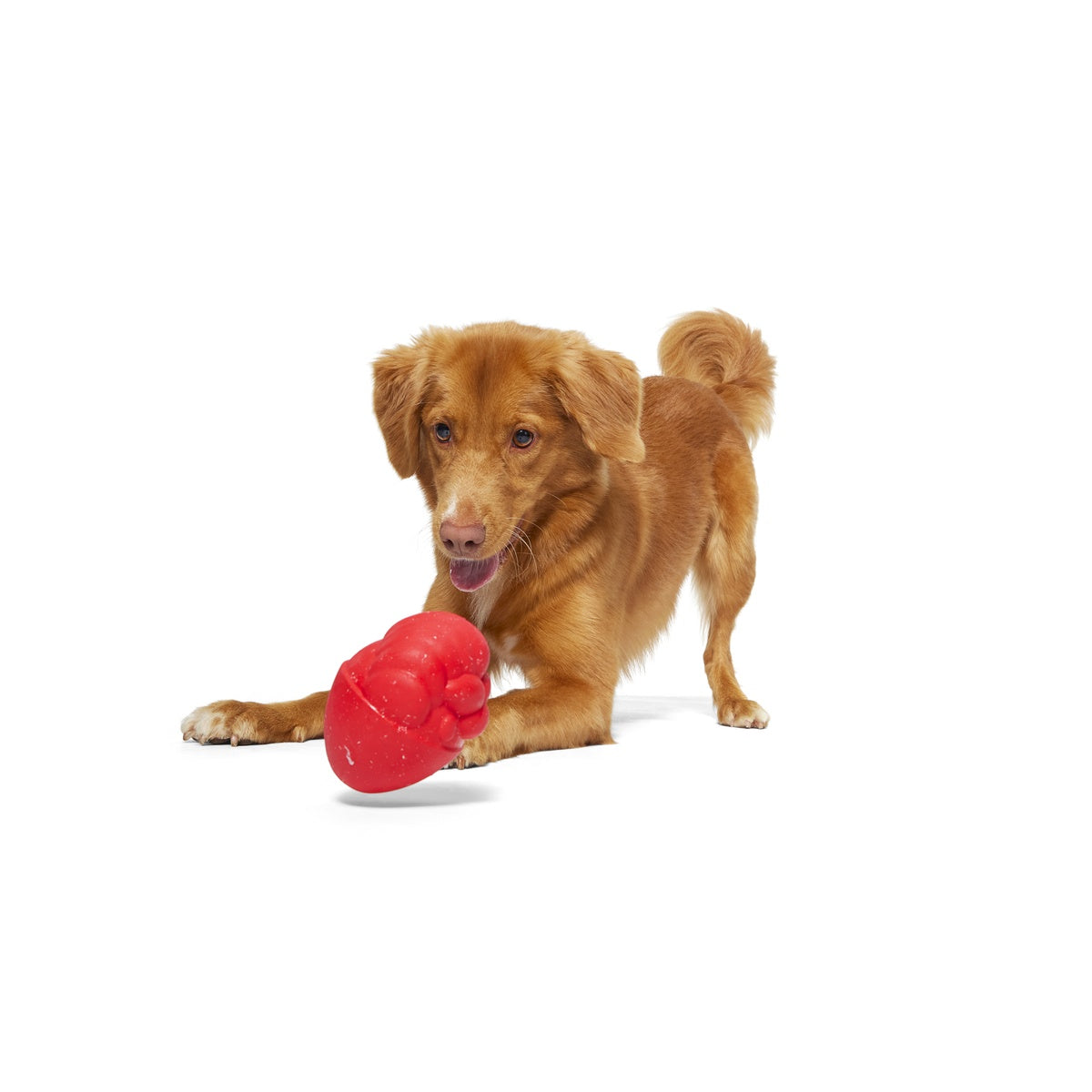 Secret Santa Durable Super Chewer 2-in-1 Rip and Reveal Dog Toy - Image 5
