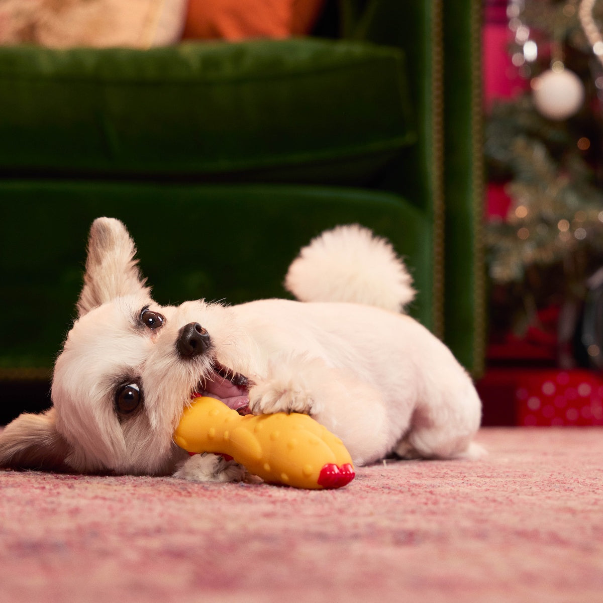 Fozziwig Factory Prop Chicken Durable Super Chewer Gnaw Dog Toy - Image 7