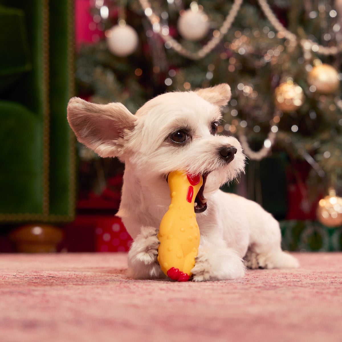 Fozziwig Factory Prop Chicken Durable Super Chewer Gnaw Dog Toy - Image 8