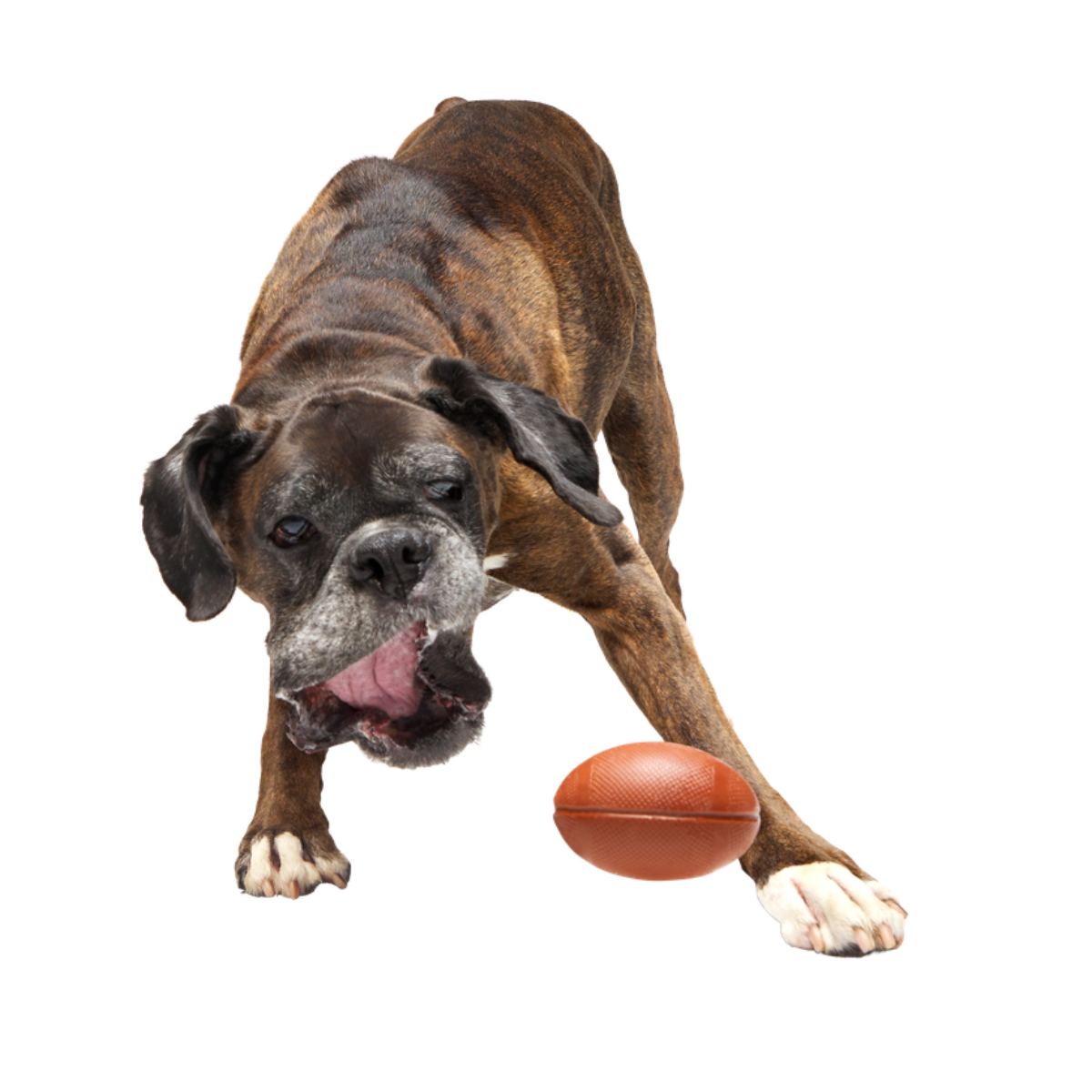 Chompionship Football Super Chewer Durable Fetch Dog Toy - Image 3