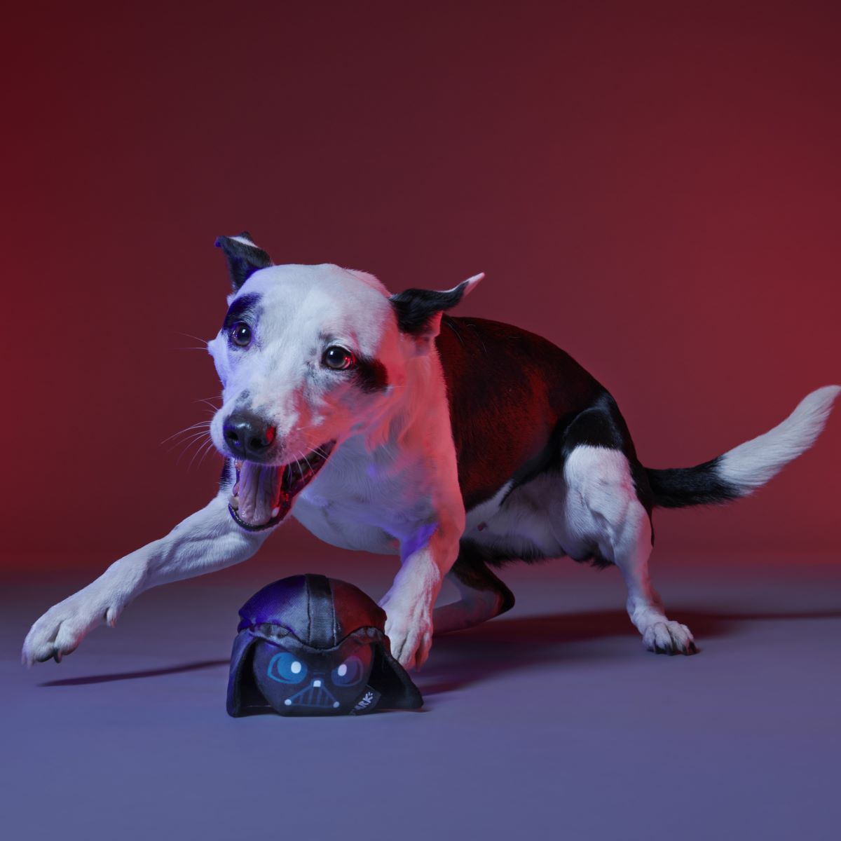 Power of the Bark Side Super Chewer Durable 2-in-1 + Fetch Dog Toy - Image 10