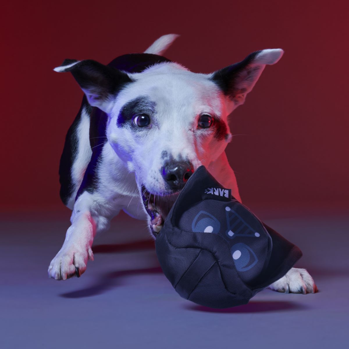 Power of the Bark Side Super Chewer Durable 2-in-1 + Fetch Dog Toy - Image 6