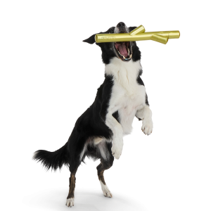 Super Stick Supreme Super Chewer Durable Extra-Large + Fetch Dog Toy