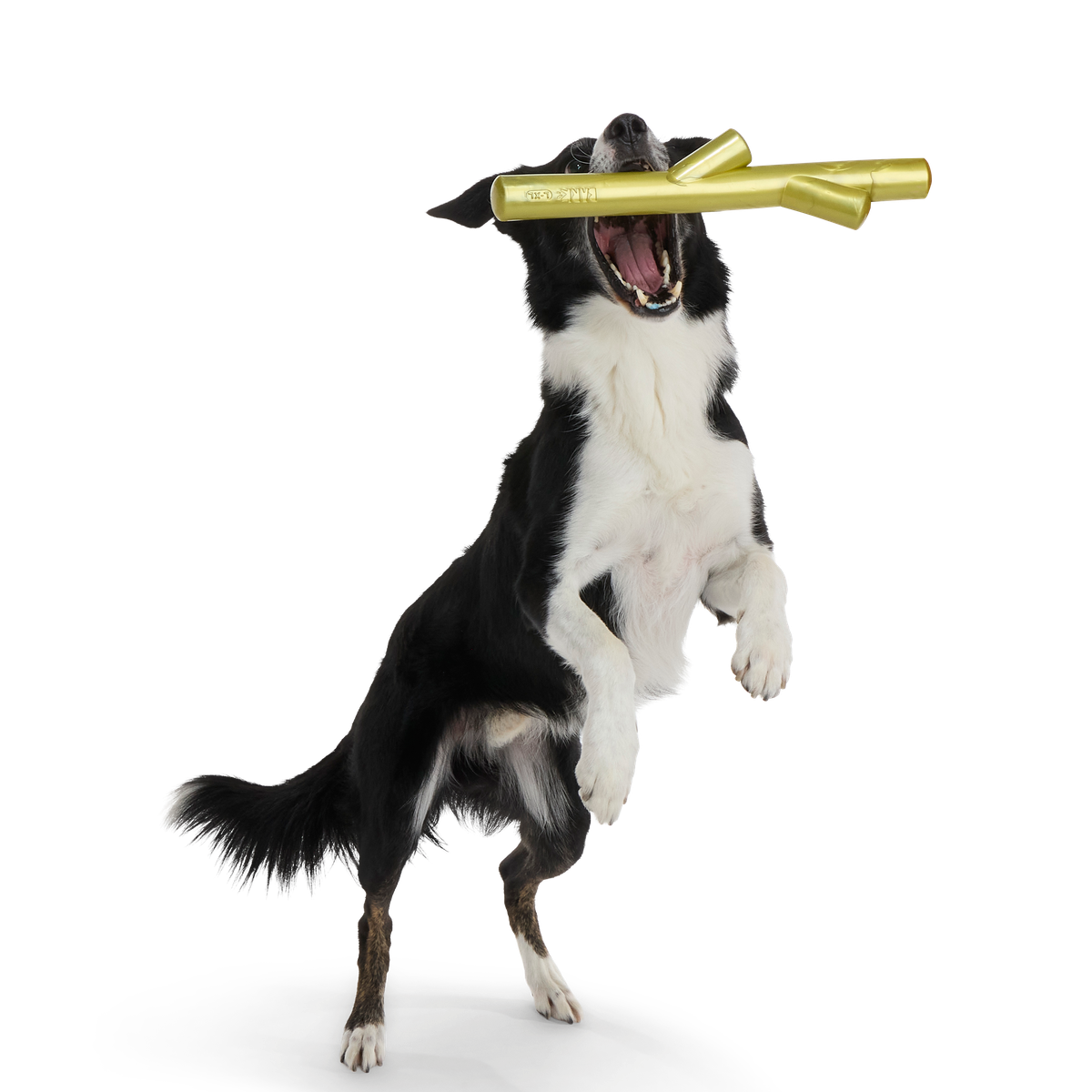 Super Stick Supreme Super Chewer Durable Extra-Large + Fetch Dog Toy
