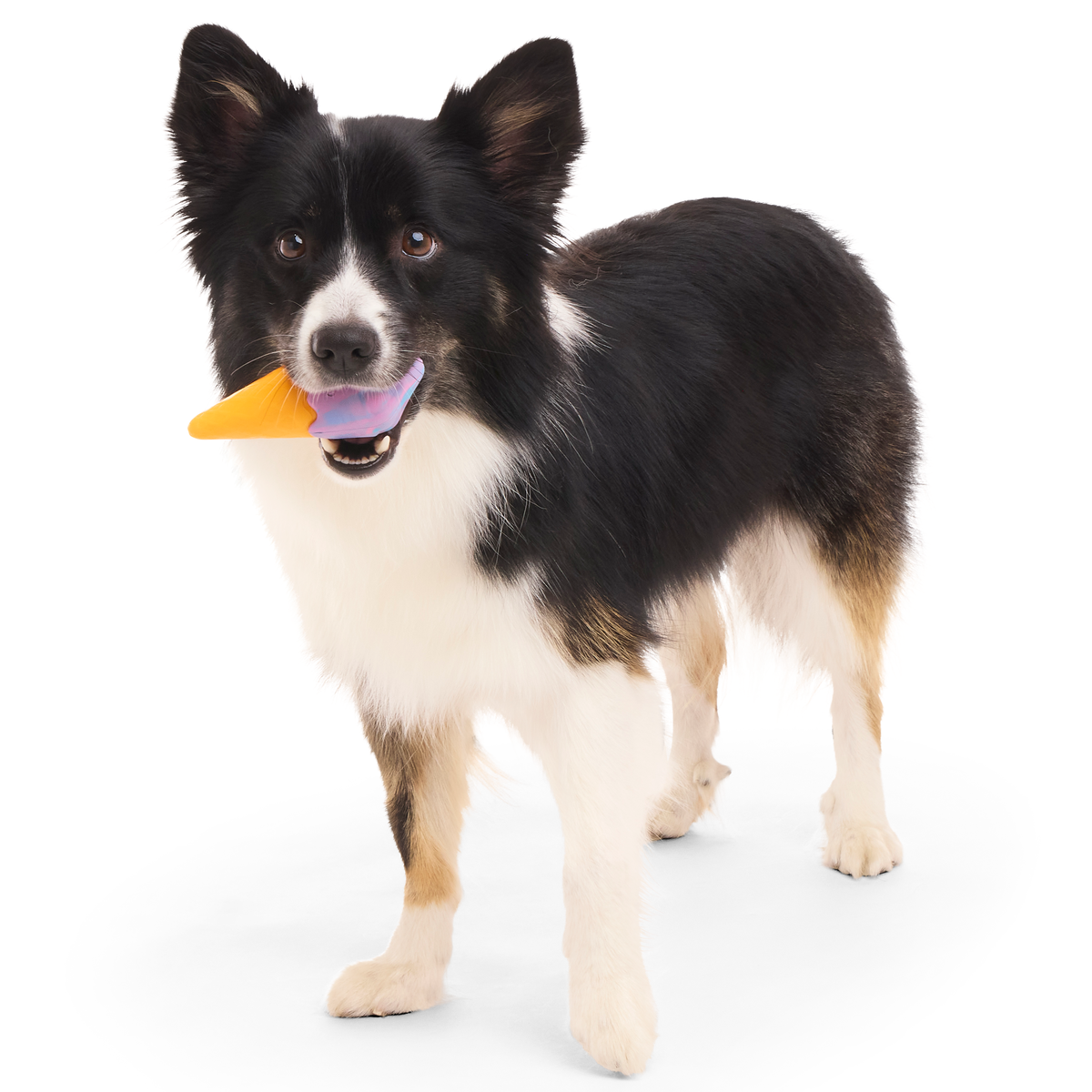 Buffberry Cone Super Chewer Durable Gnaw Dog Toy - Image 3