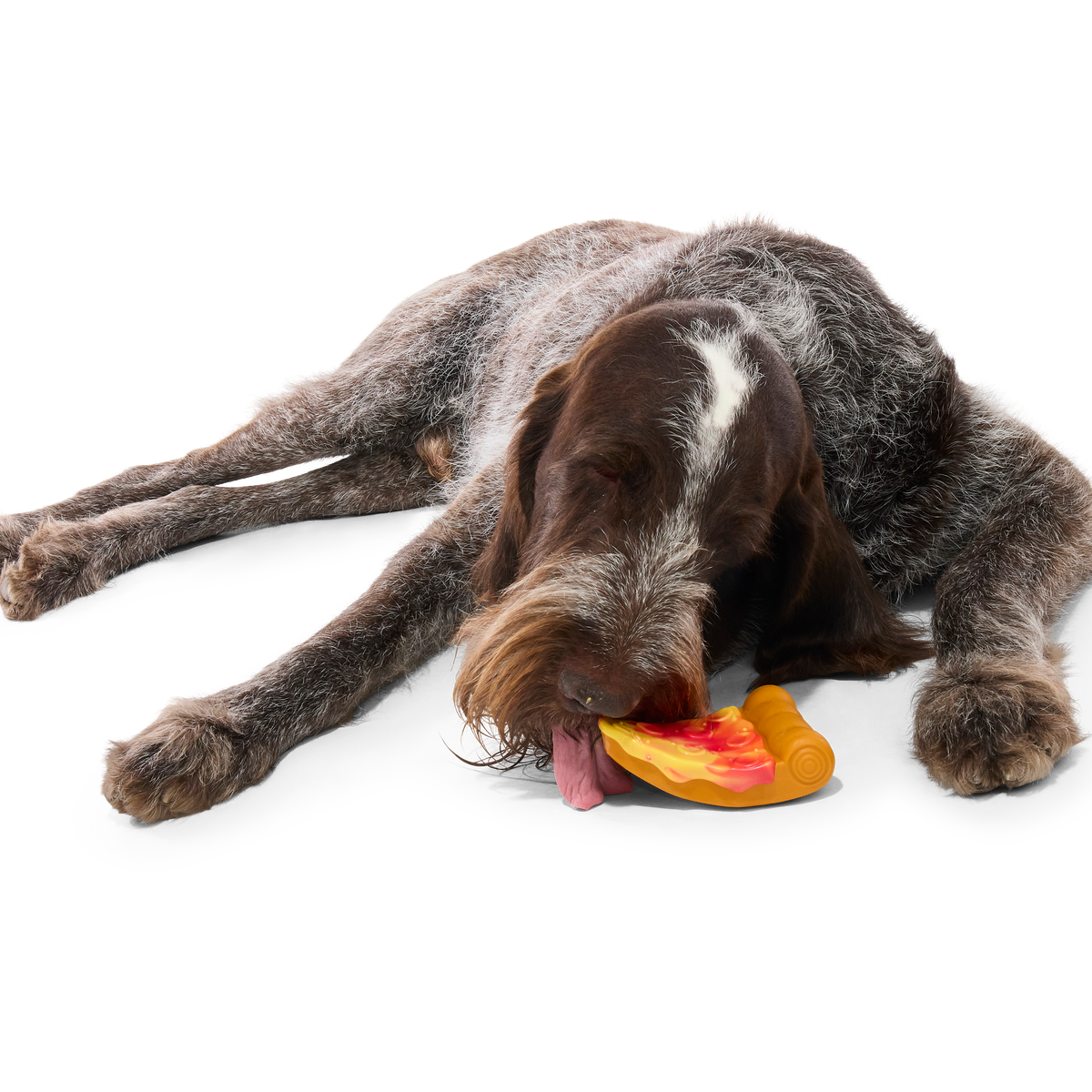 Barkaroni Slice Super Chewer Durable Gnaw Dog Toy - Image 2