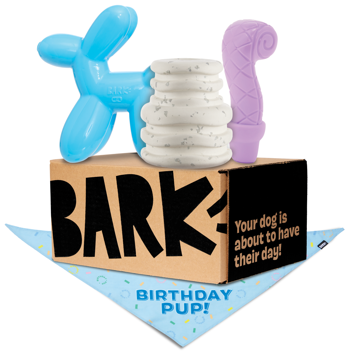 Birthday Super Chewer Box (Toy-Only) - One Month Gift Box - Image 3