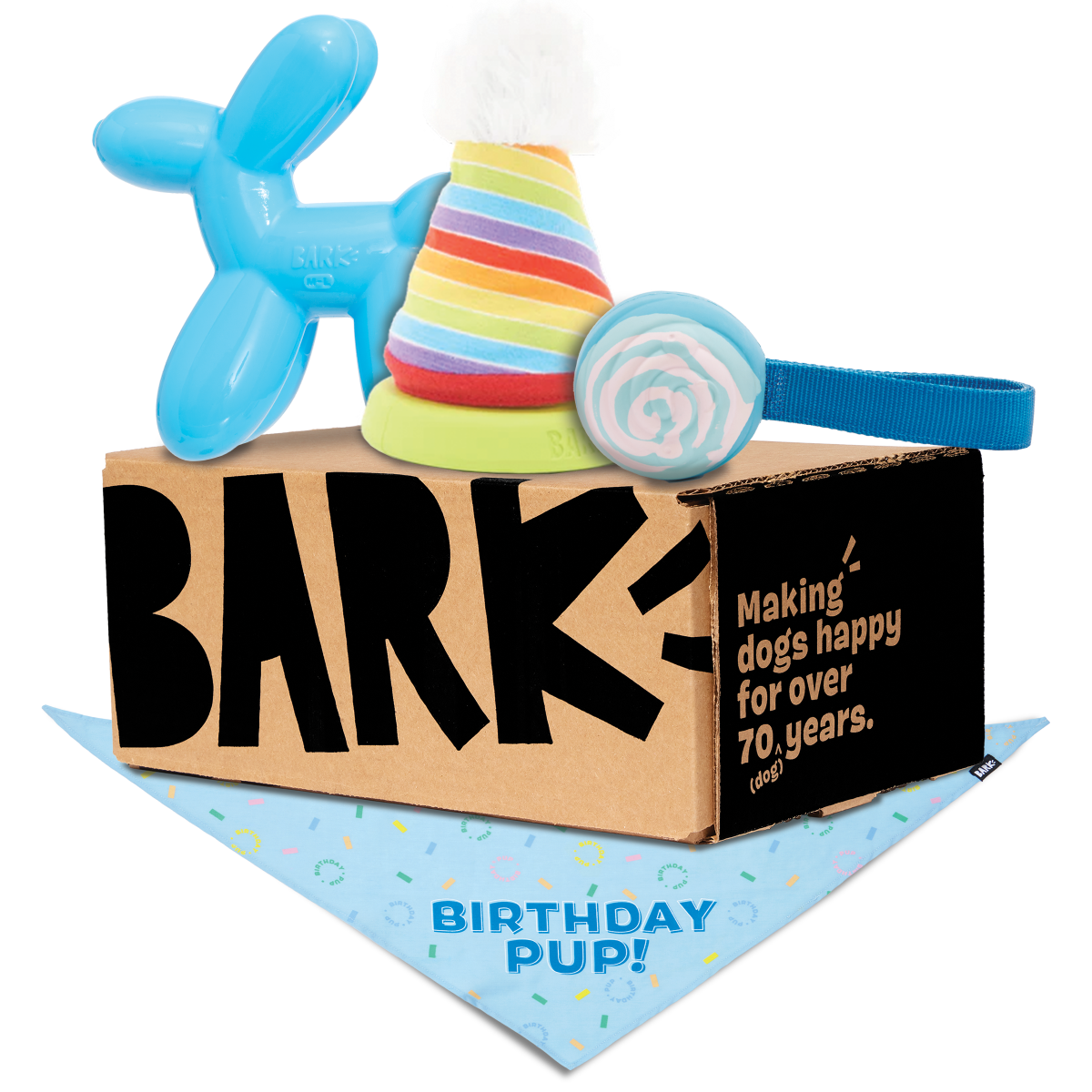 Birthday Super Chewer Box (Toy-Only) - One Month Gift Box - Image 2