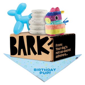 Birthday Super Chewer Box (Toy-Only) - One Month Gift Box