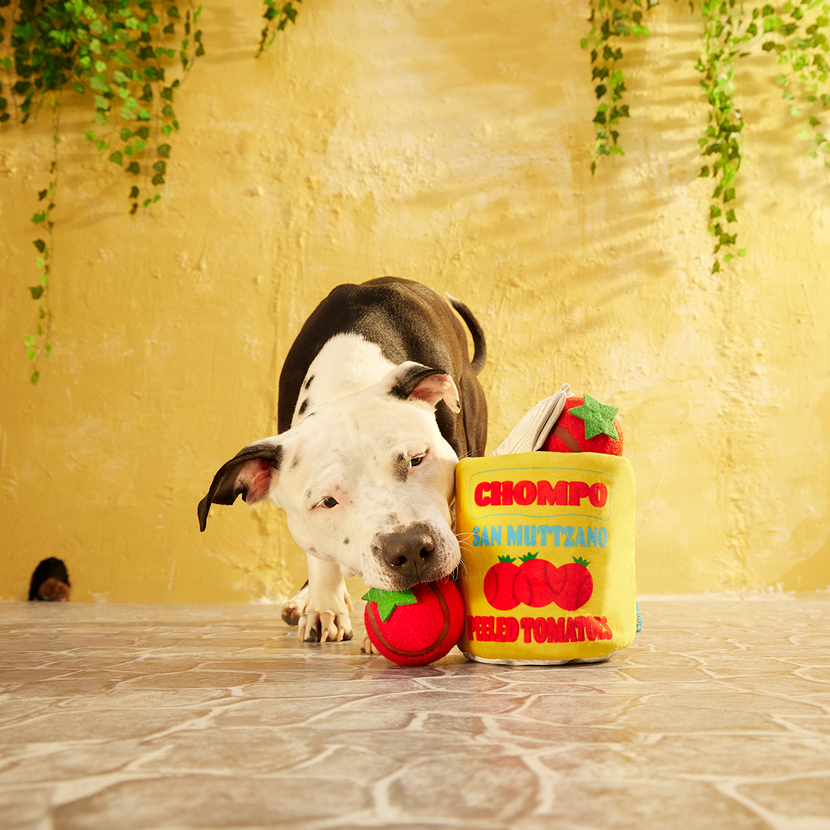 San Muttzano Tomatoes Plush Multi-Part + Enrichment + Fetch Dog Toy - Image 7