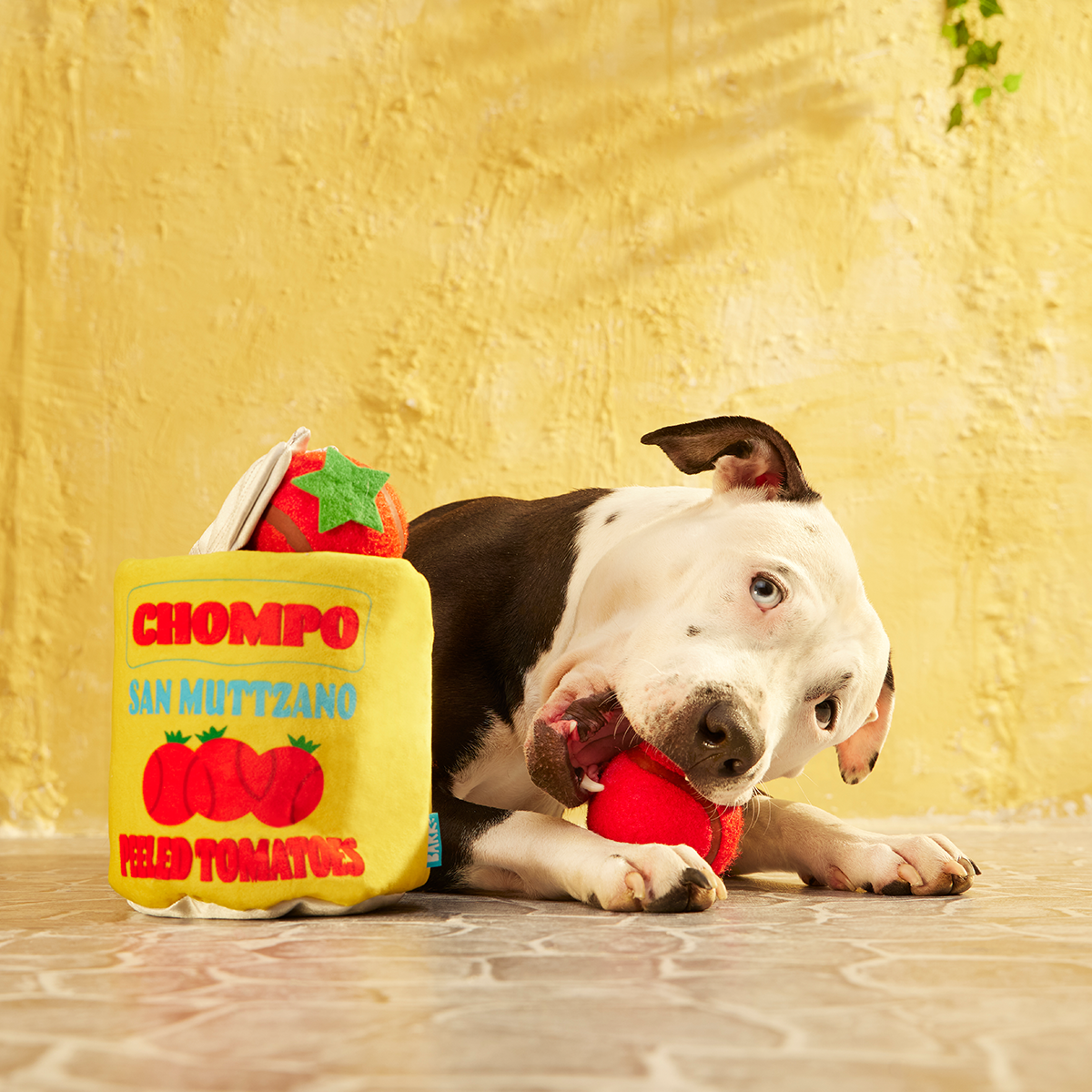 San Muttzano Tomatoes Plush Multi-Part + Enrichment + Fetch Dog Toy - Image 6