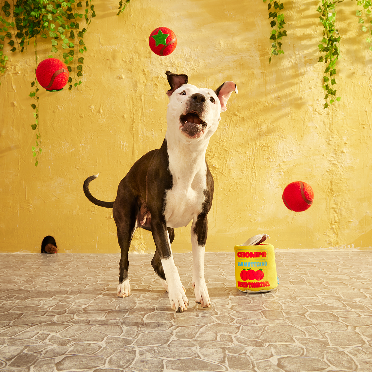 San Muttzano Tomatoes Plush Multi-Part + Enrichment + Fetch Dog Toy - Image 5