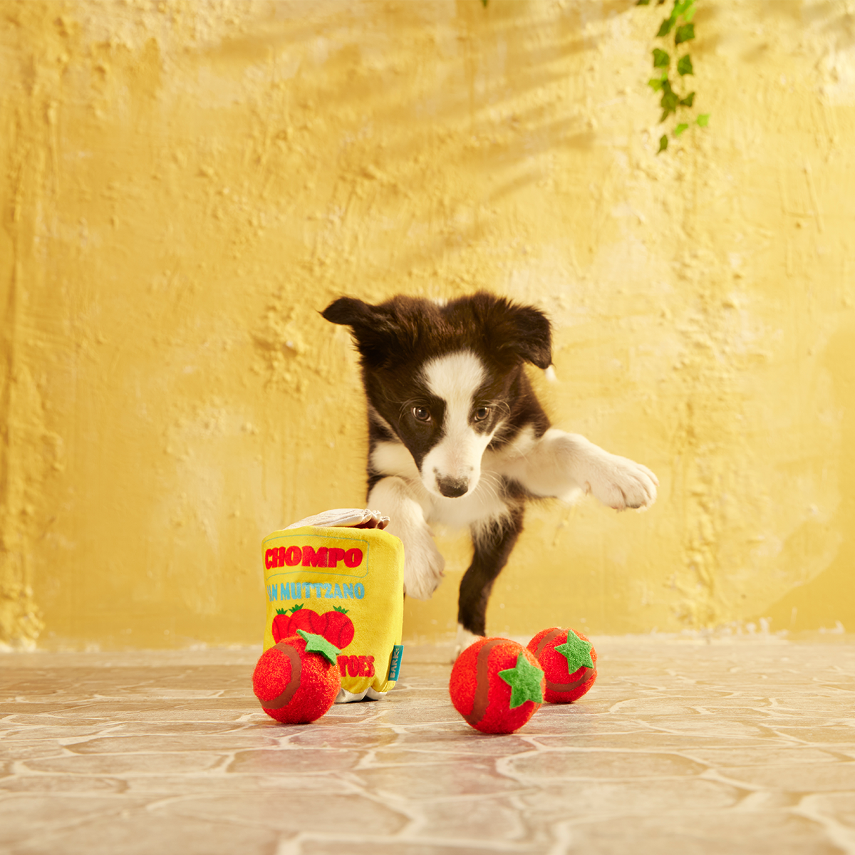 San Muttzano Tomatoes Plush Multi-Part + Enrichment + Fetch Dog Toy - Image 4
