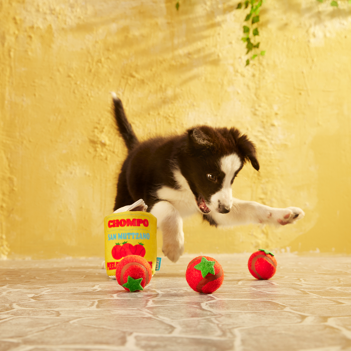 San Muttzano Tomatoes Plush Multi-Part + Enrichment + Fetch Dog Toy - Image 3
