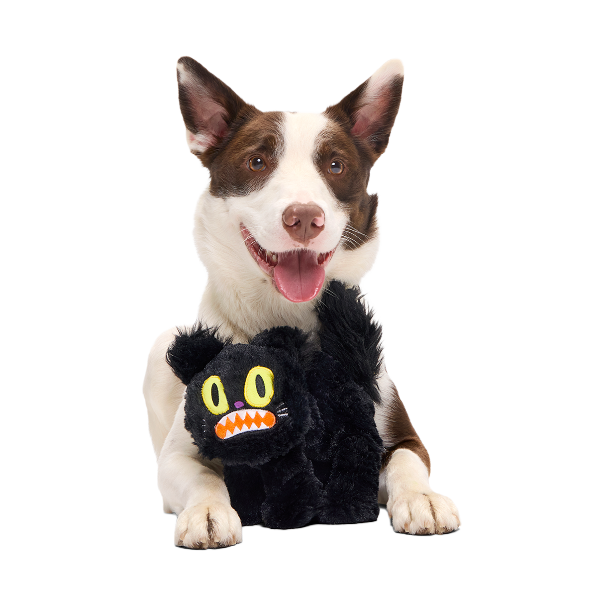 Scaredy Cat Plush Tug Dog Toy - Image 4