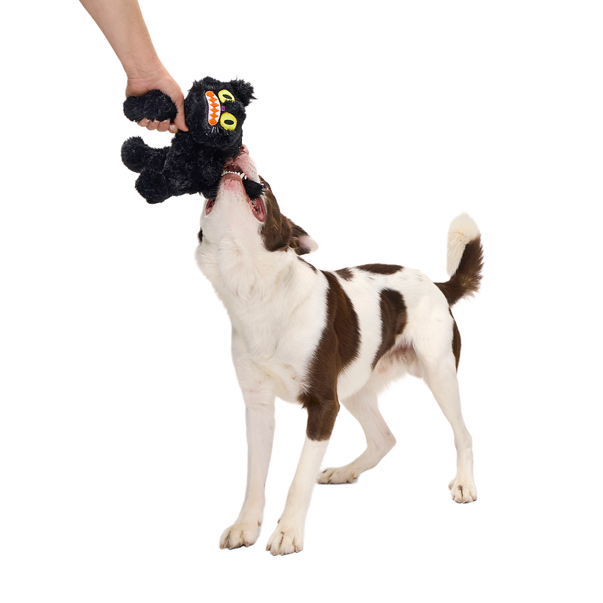 Scaredy Cat Plush Tug Dog Toy - Image 5