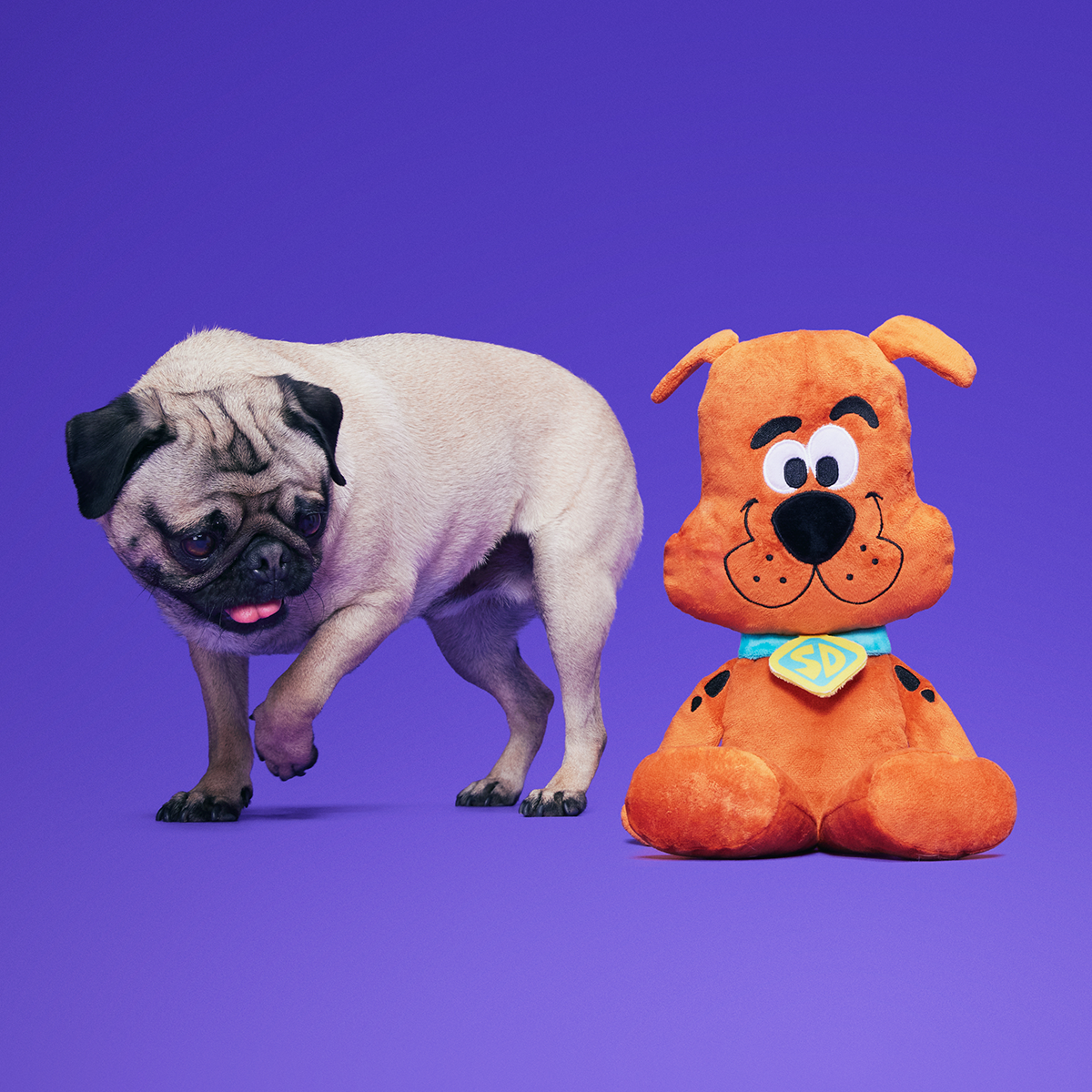 Scooby-Dooby-Doo™ Plush Extra-Large Tug Dog Toy - Image 3