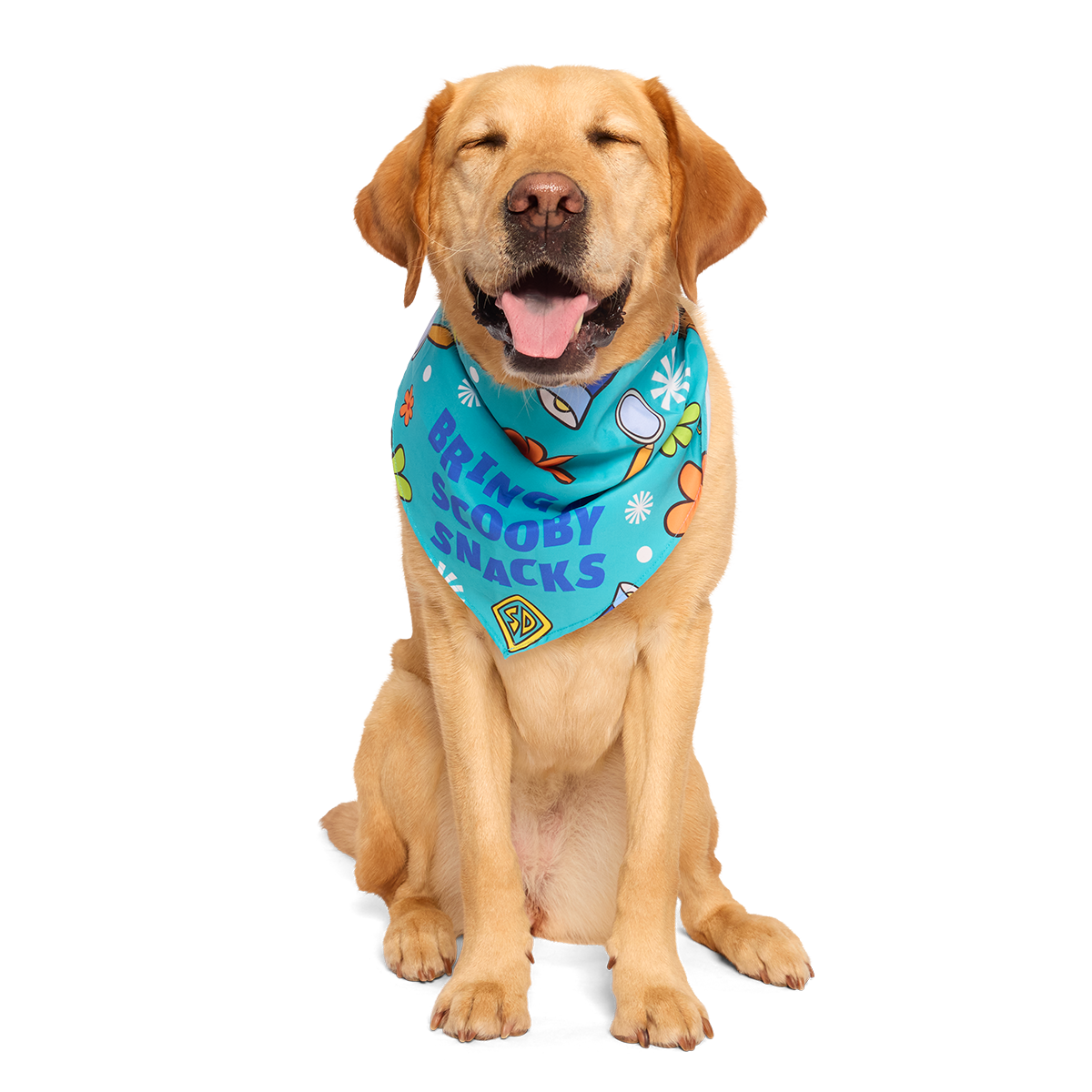 Scooby™ Snacks Dog Bandana - Image 3