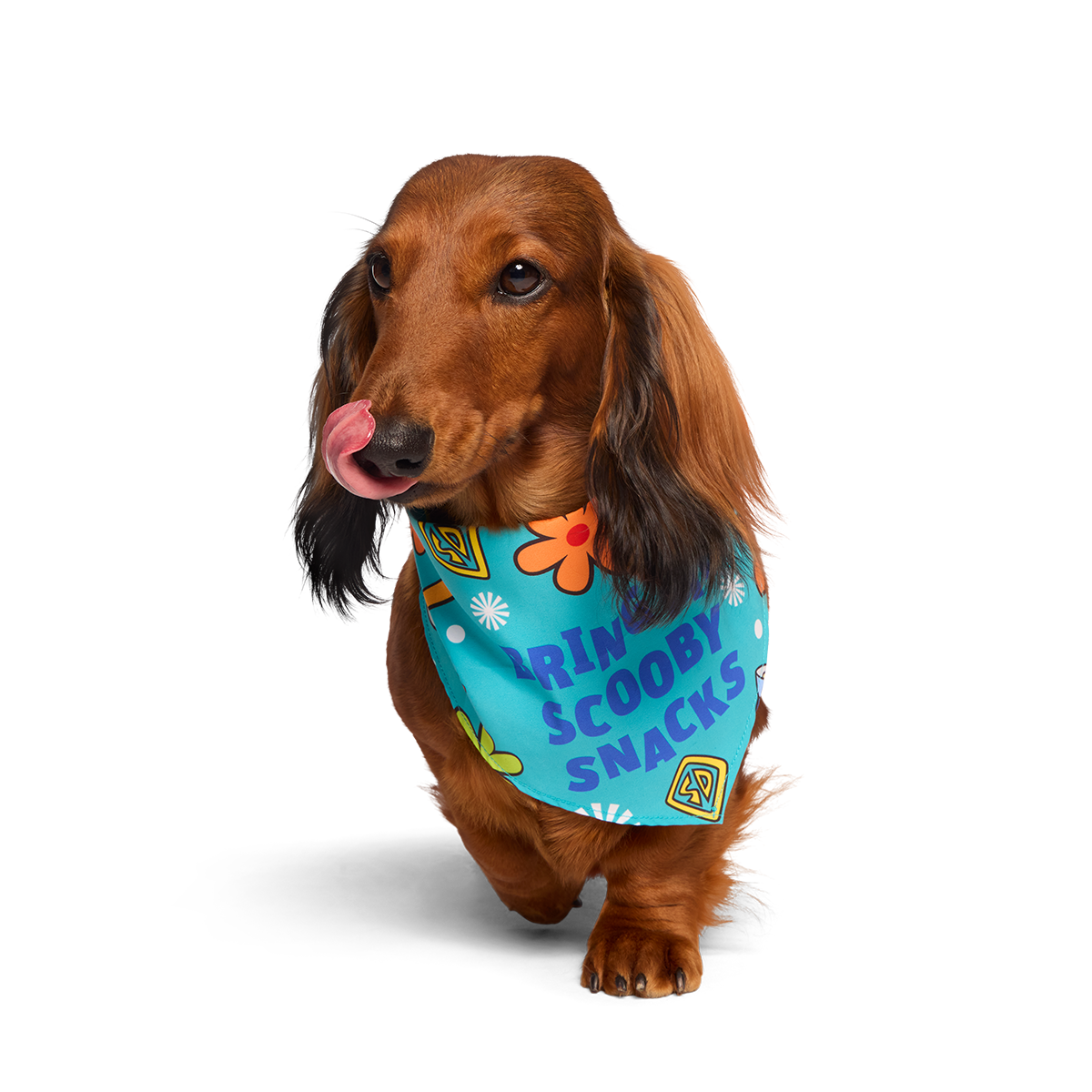 Scooby™ Snacks Dog Bandana - Image 4
