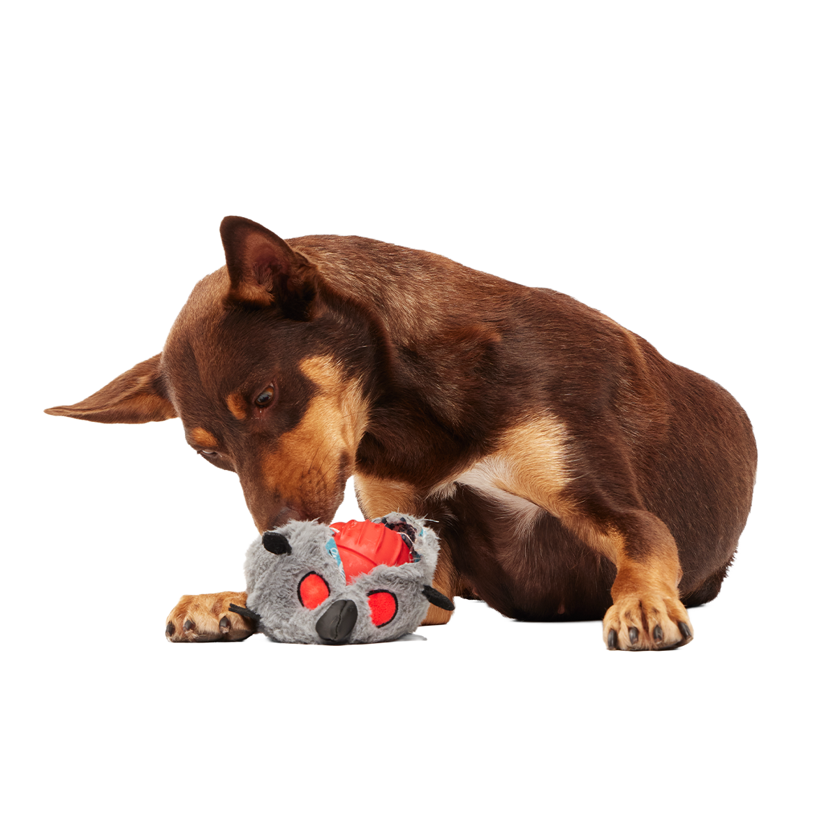 Sewer Chewer Super Chewer Durable 2-in-1 + Fetch Dog Toy - Image 2