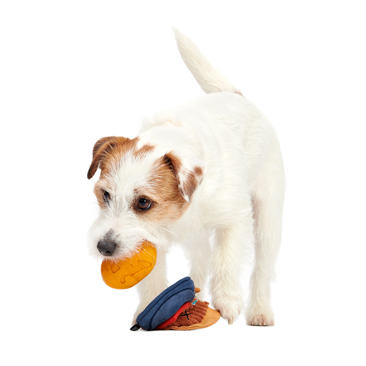 Shreddy Eddy the Scarecrow Super Chewer Durable 2-in-1 + Tug Dog Toy - Image 4
