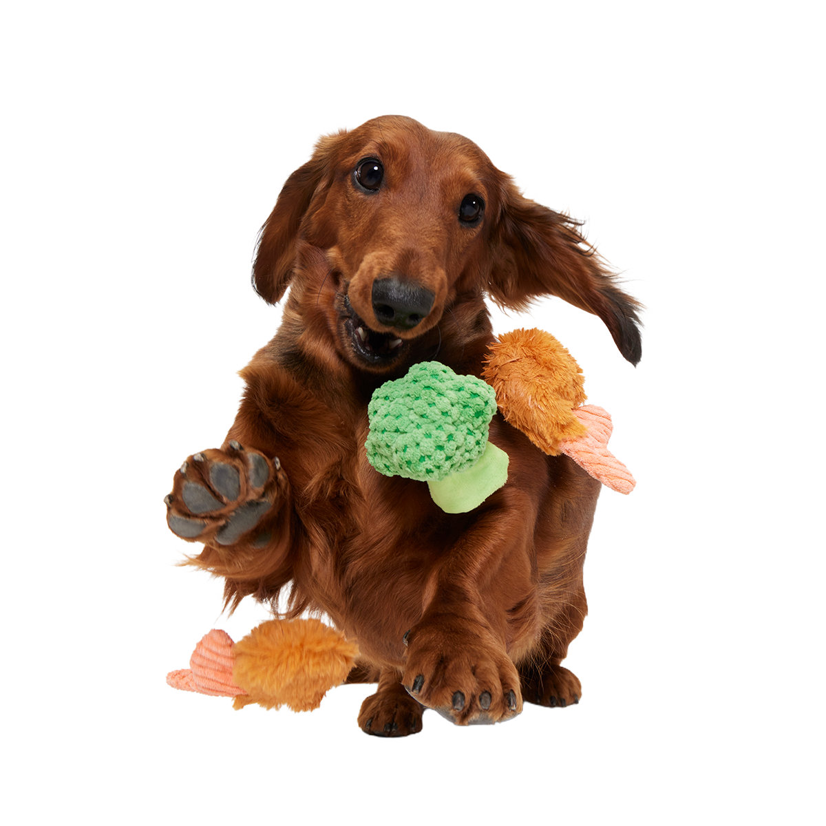 Sizzlin' Sea & Tree Sampletizer Plush Multi-Part + Enrichment Dog Toy - Image 3