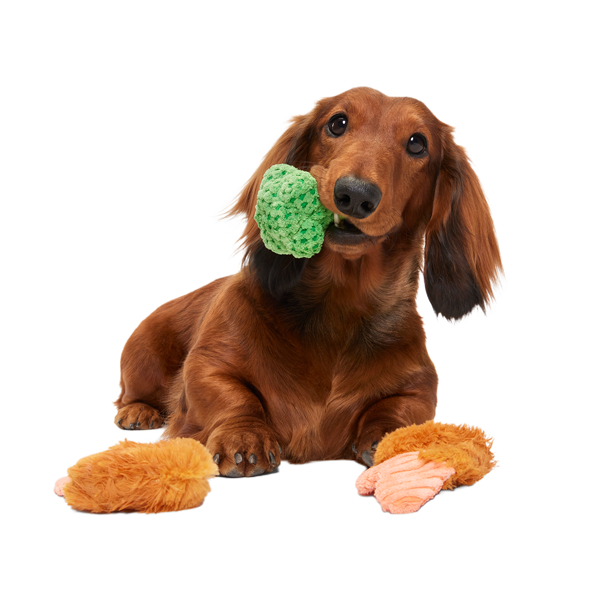 Sizzlin' Sea & Tree Sampletizer Plush Multi-Part + Enrichment Dog Toy - Image 2