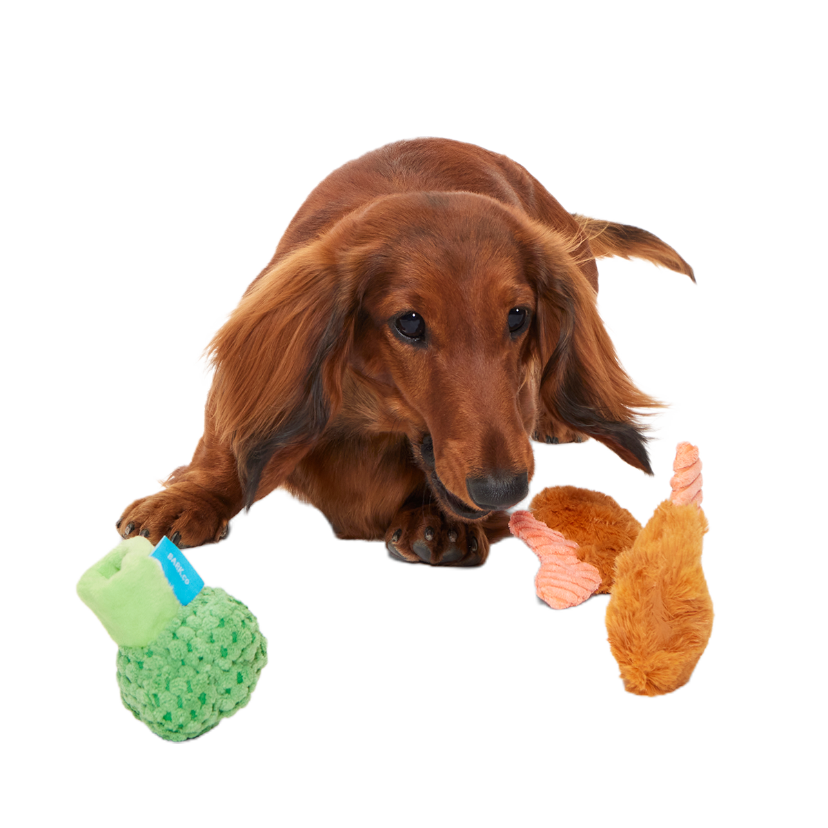 Sizzlin' Sea & Tree Sampletizer Plush Multi-Part + Enrichment Dog Toy - Image 4