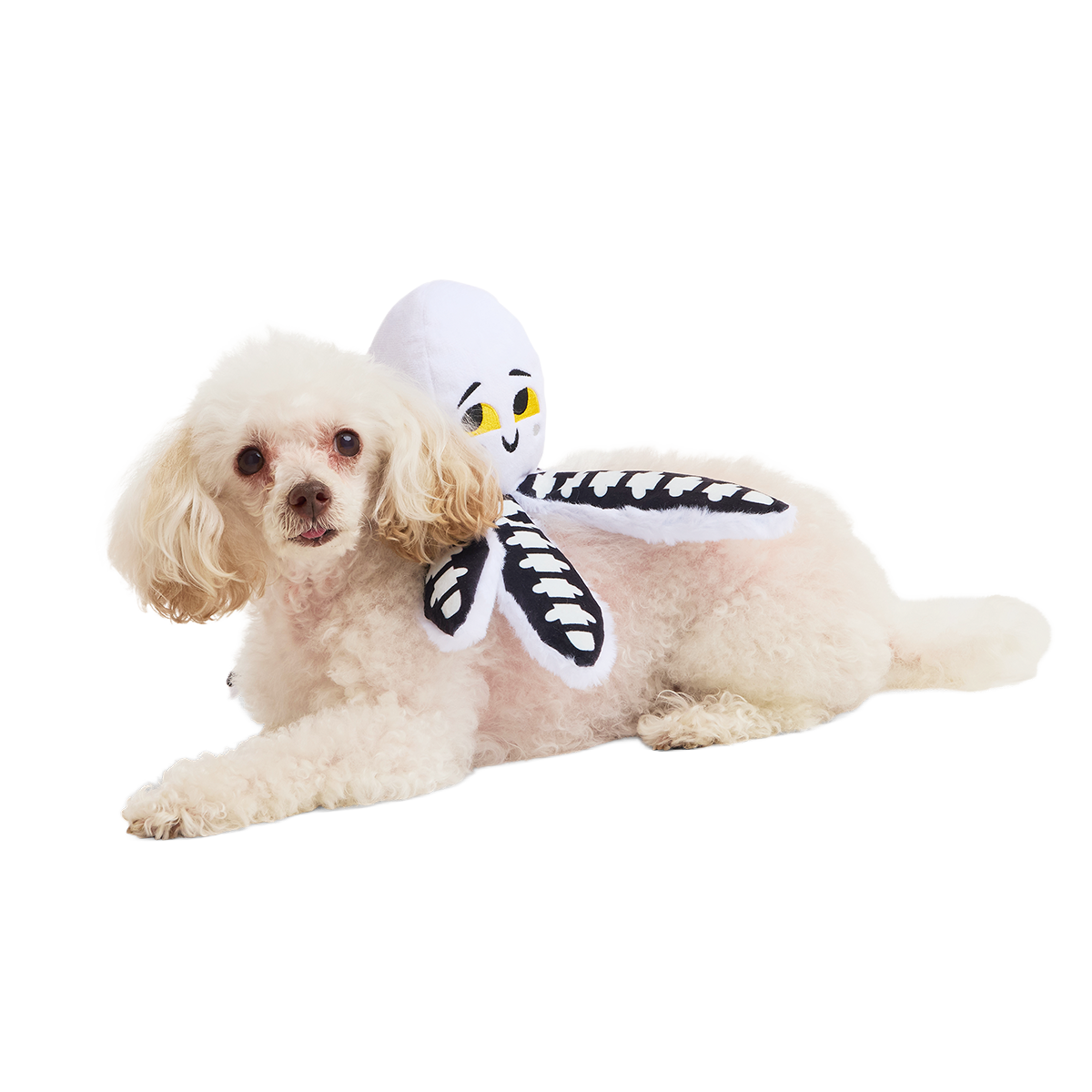 Sk-Ollie-Ton Plush Tug Dog Toy - Image 4