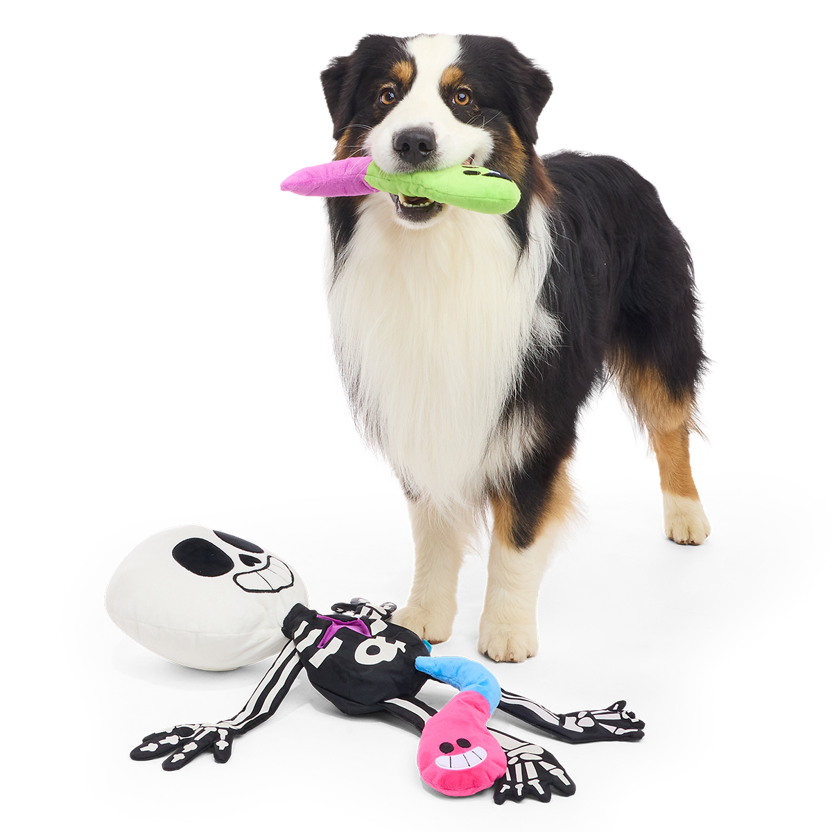 Skeleton Gnawtopsy Plush XXL Multi-Part + Tug + Enrichment Dog Toy - Image 4