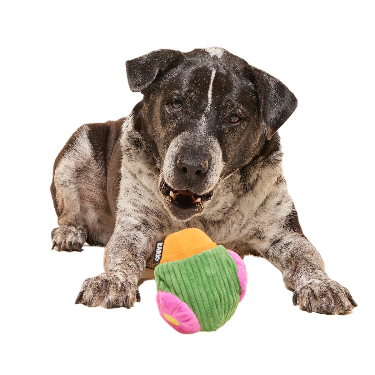 Snactus Super Chewer Durable 2-in-1 + Enrichment Dog Toy - Image 5