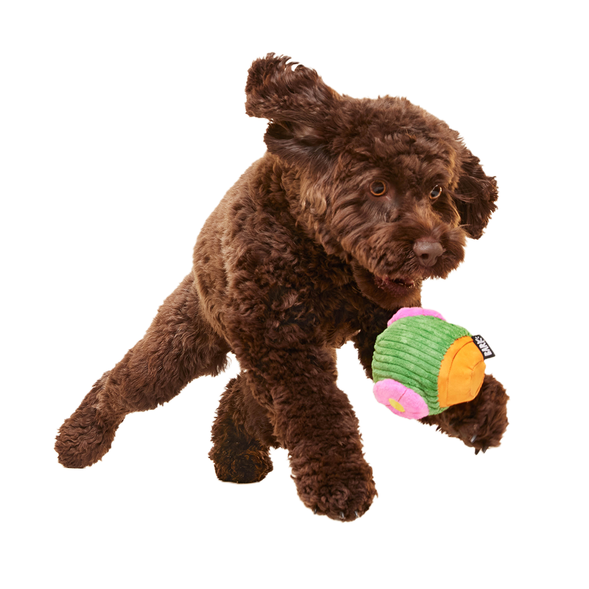 Snactus Super Chewer Durable 2-in-1 + Enrichment Dog Toy - Image 4