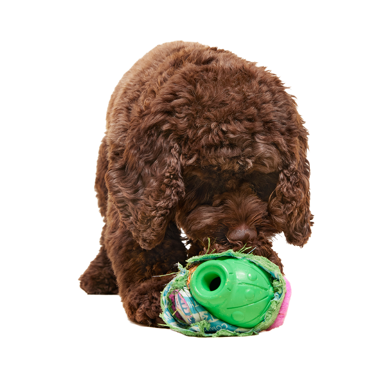 Snactus Super Chewer Durable 2-in-1 + Enrichment Dog Toy - Image 3