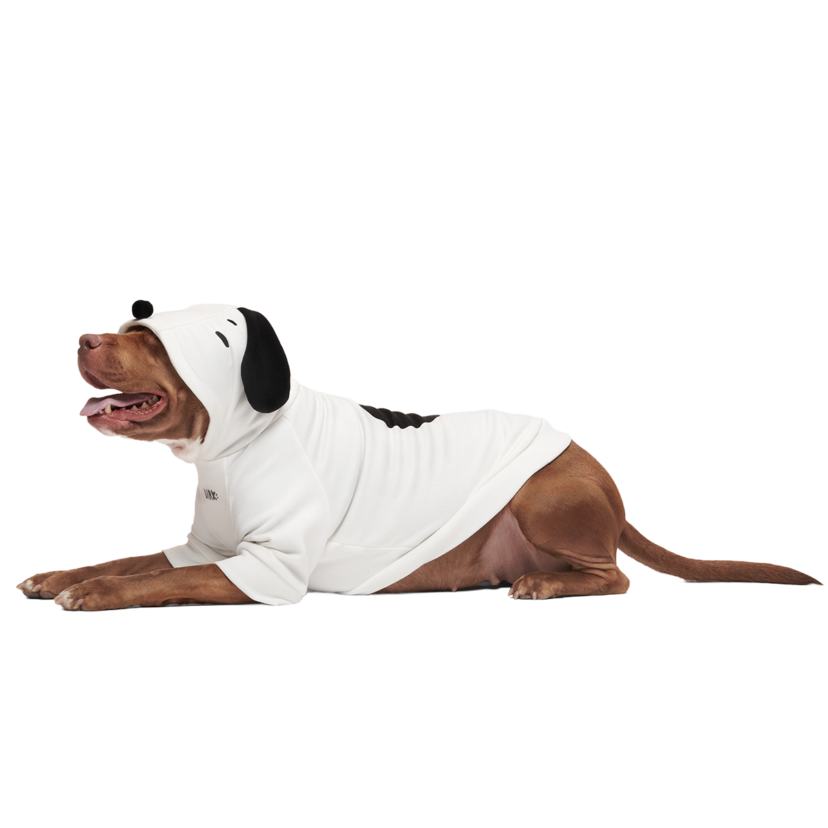 Snoopy Dog Hoodie - Image 5