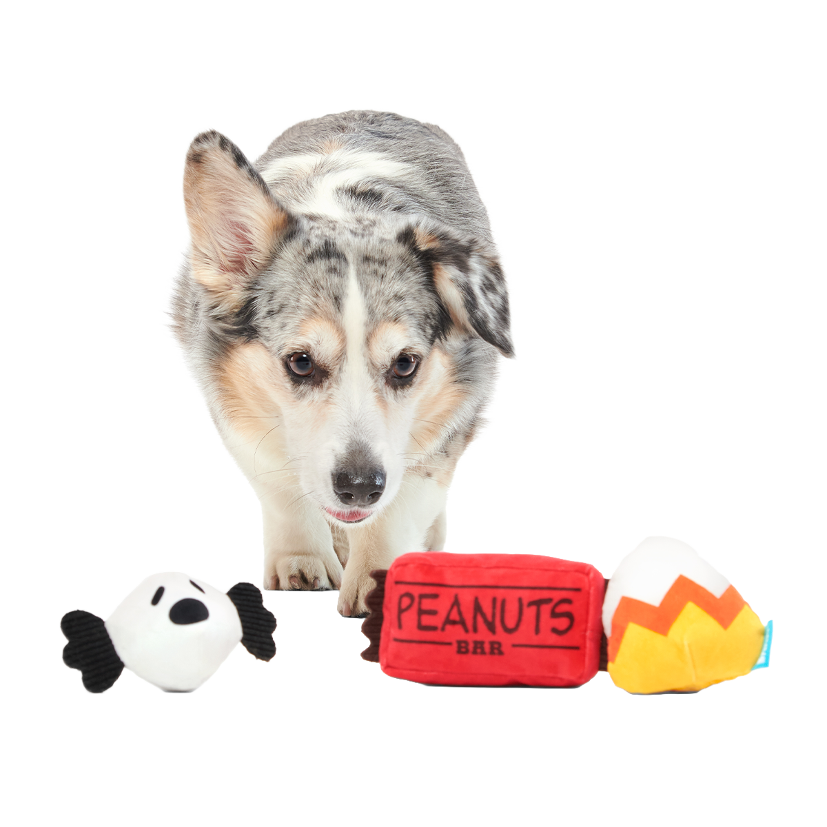 Snoopy Howl-O-Ween Candy Plush Multi-Part Dog Toy - Image 3