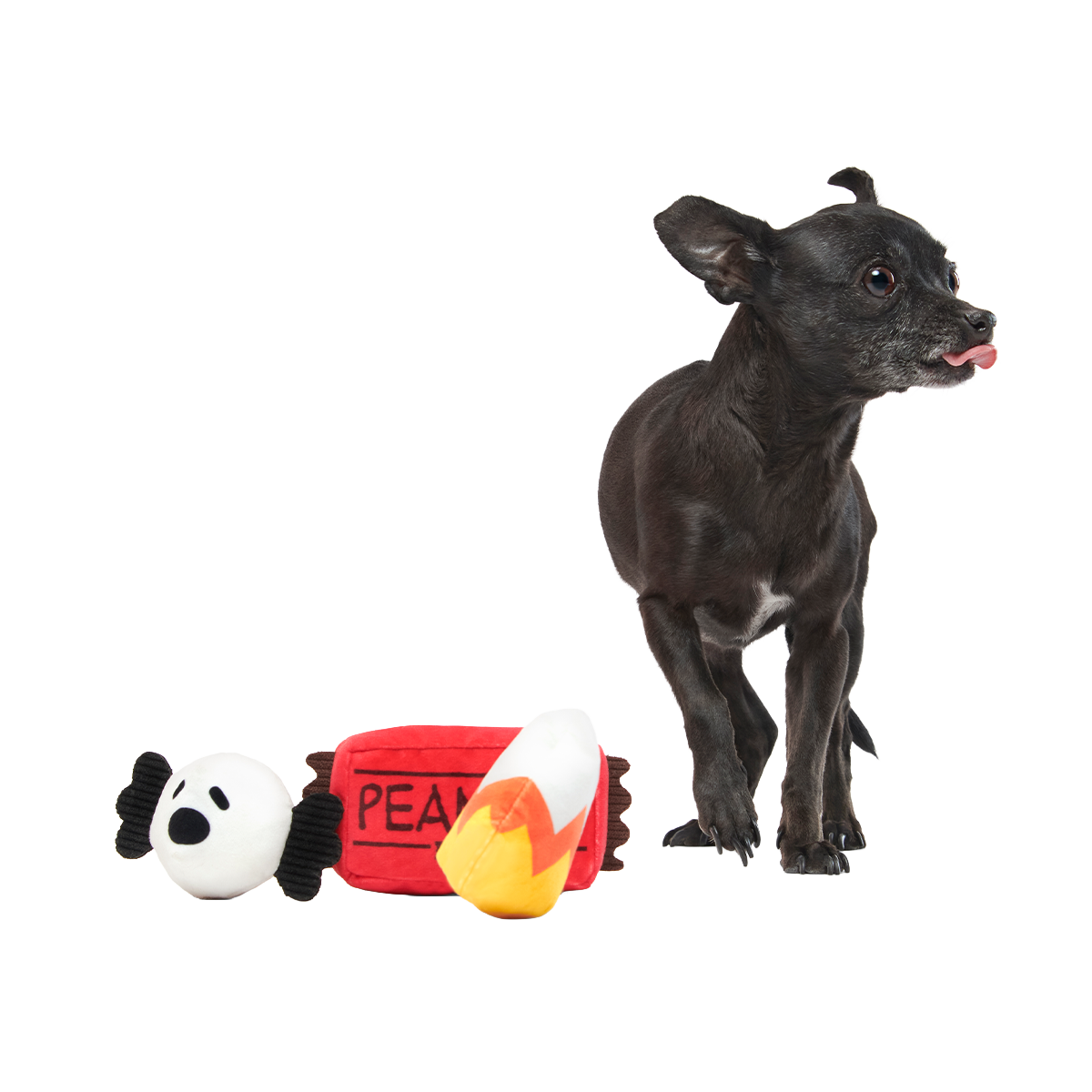 Snoopy Howl-O-Ween Candy Plush Multi-Part Dog Toy - Image 2