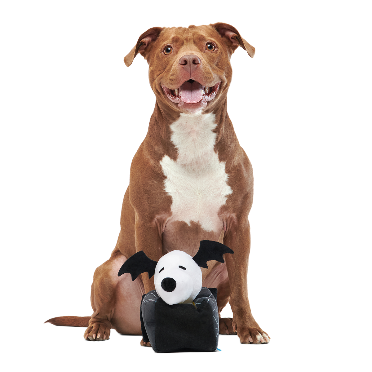 Snoopy's Haunted Doghouse Plush Multi-Part + Enrichment Dog Toy - Image 3