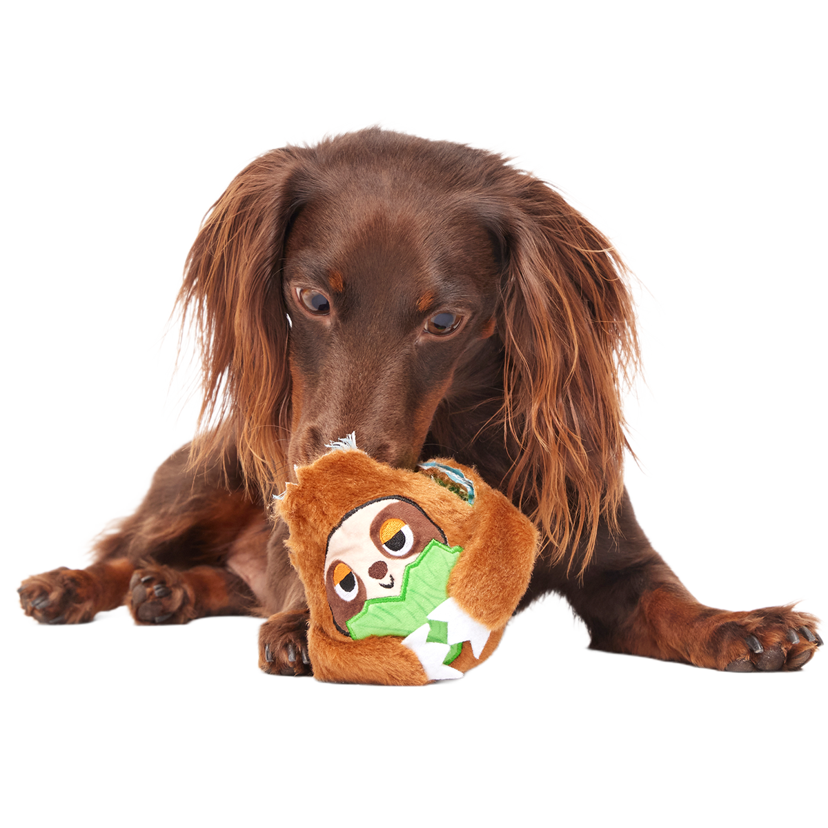 Sonny the Sloth Super Chewer Durable 2-in-1 + Fetch Dog Toy - Image 3