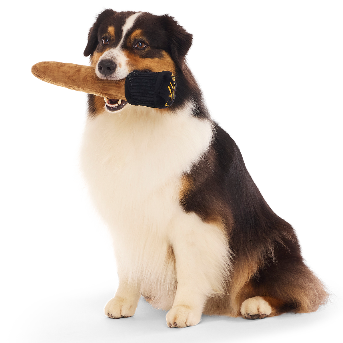 Spellbinding Wand™ Plush Tug Dog Toy - Image 6
