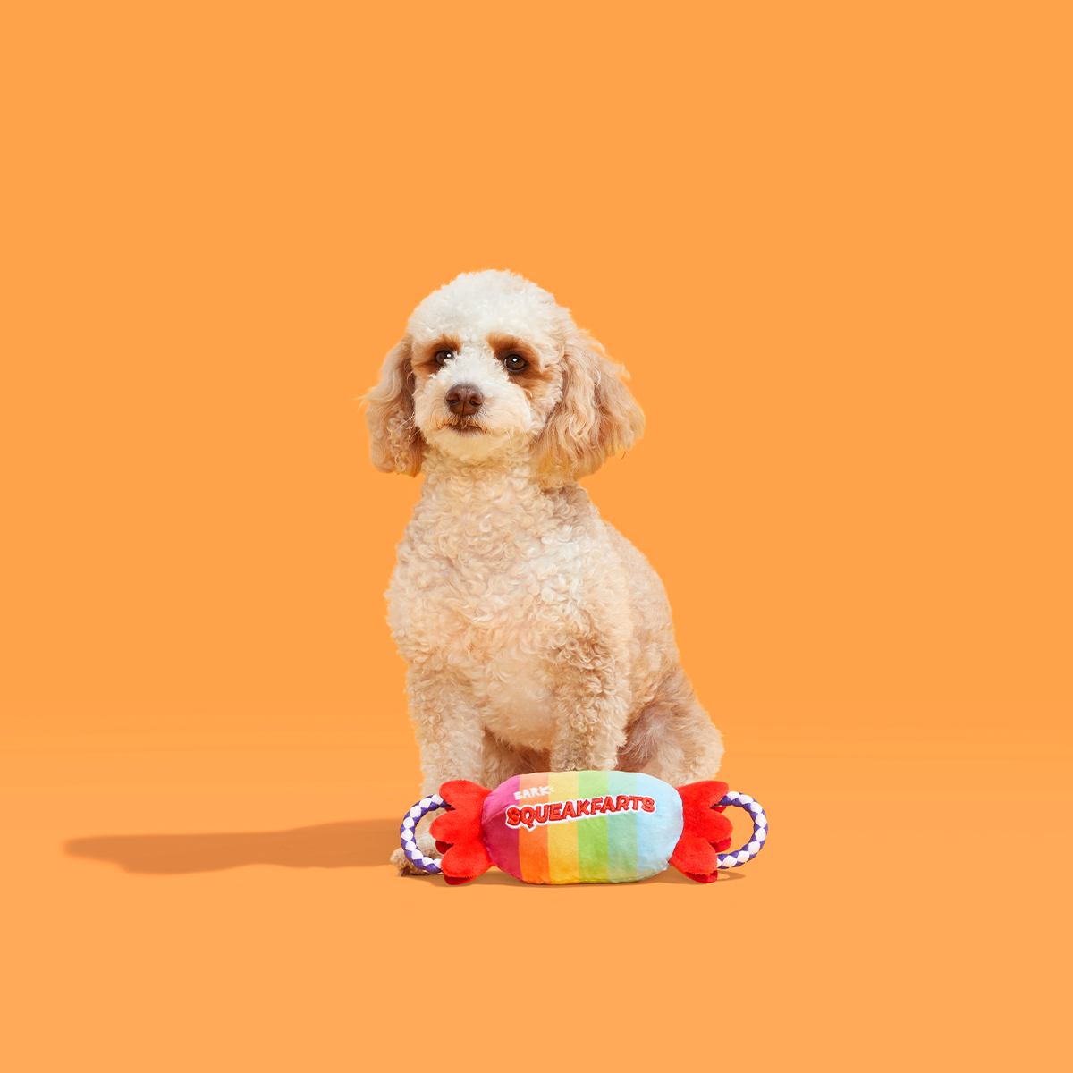 SqueakFarts Candy Plush Tug Dog Toy - Image 5