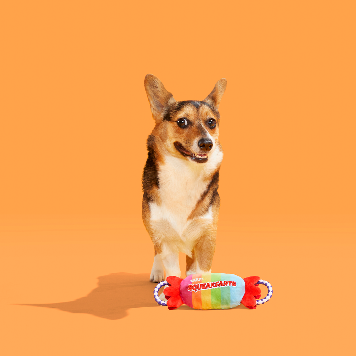 SqueakFarts Candy Plush Tug Dog Toy - Image 4
