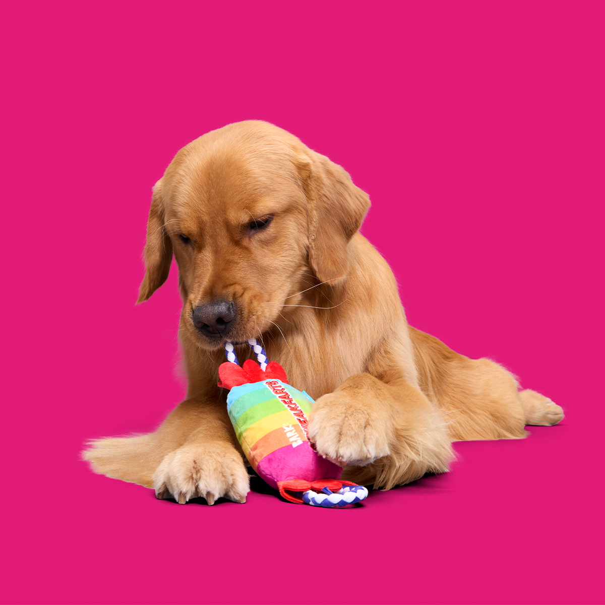 SqueakFarts Candy Plush Tug Dog Toy - Image 6