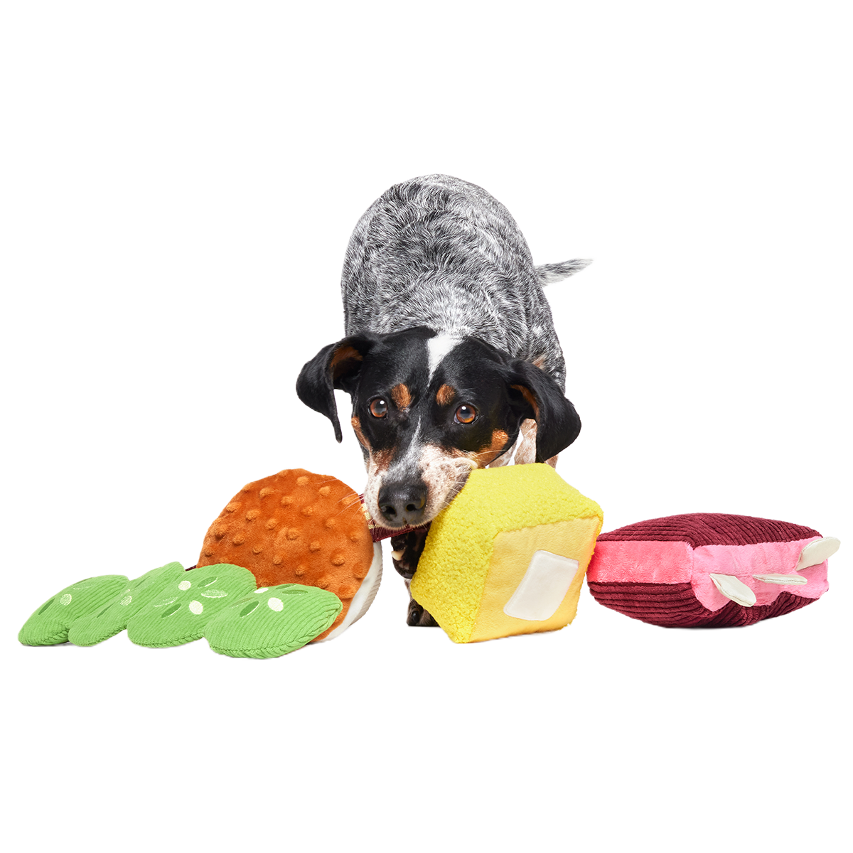 Squeak & Three Plush Multi-Part Dog Toy - Image 4