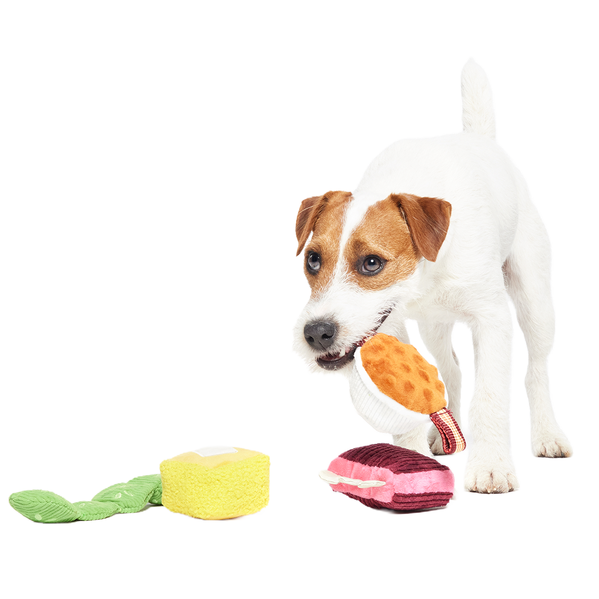 Squeak & Three Plush Multi-Part Dog Toy - Image 6