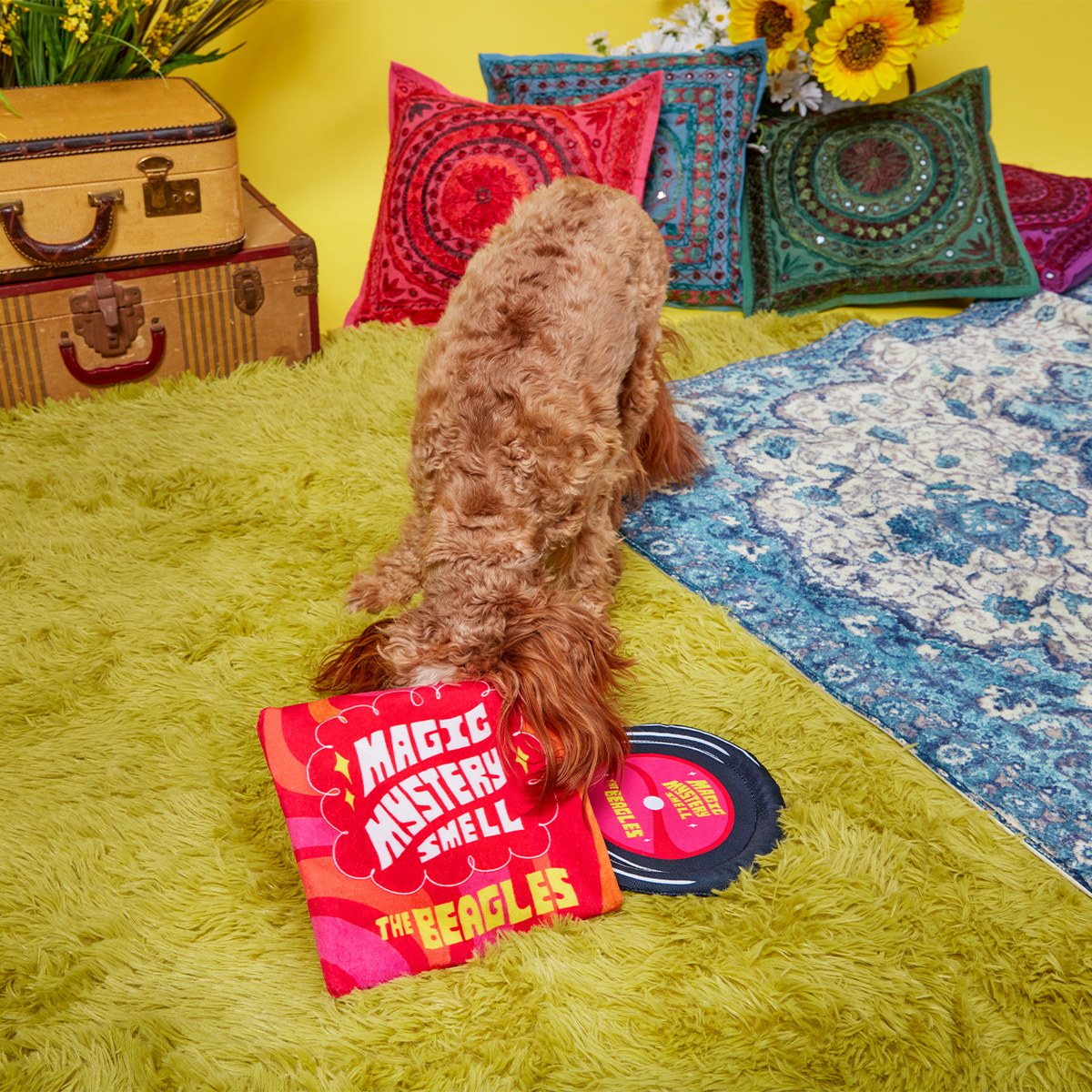 Squeakadelic Tunes Plush Multi-Part Dog Toy - Image 5
