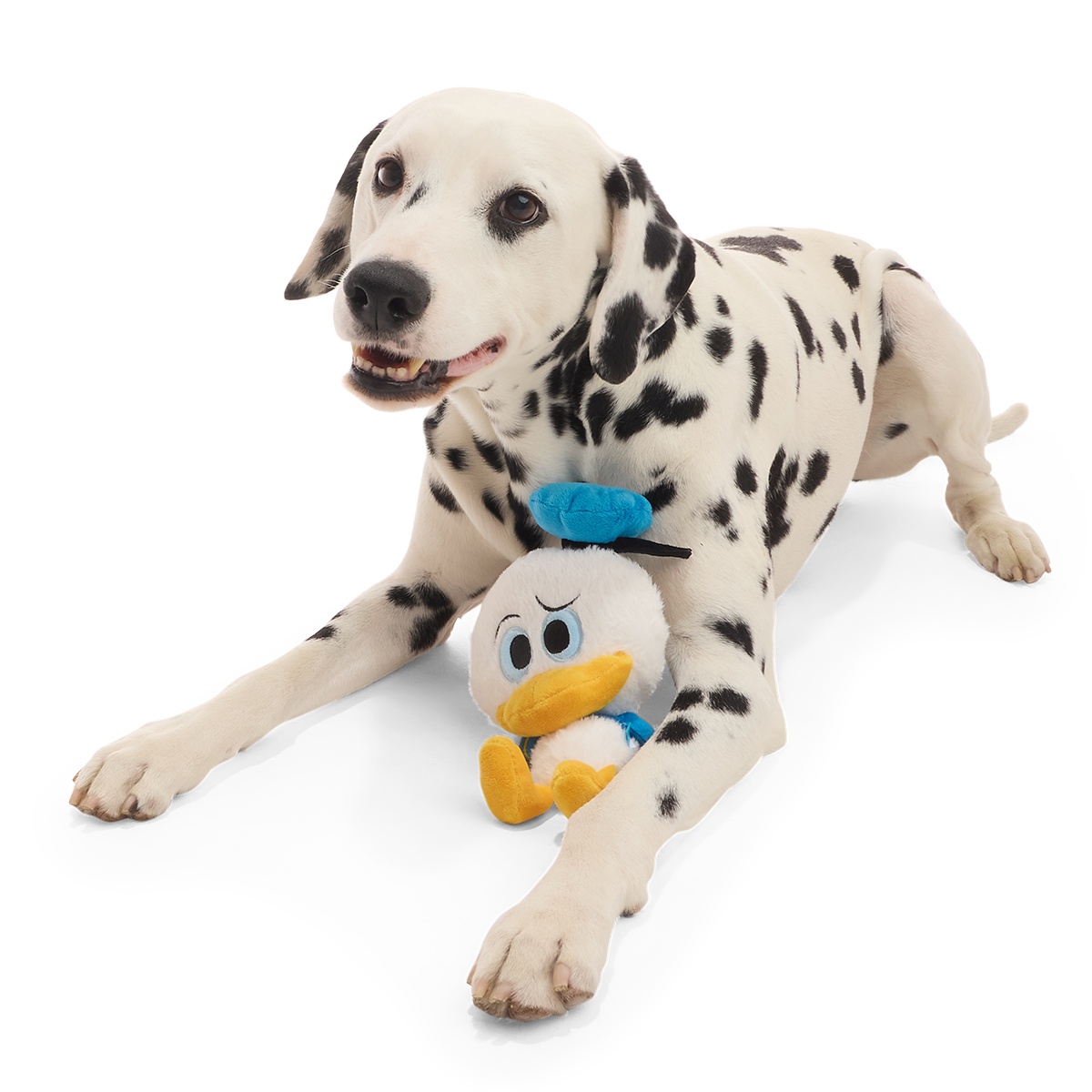 Squeaky Time Donald Plush 2-in-1 + Tug Dog Toy - Image 2