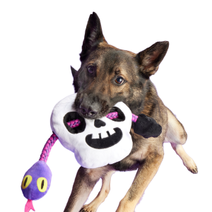 Sssskull Plush Extra-Large + Tug Dog Toy